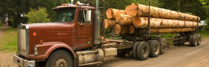 伐採業と木材産業 